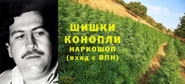 бошки Алексеевка