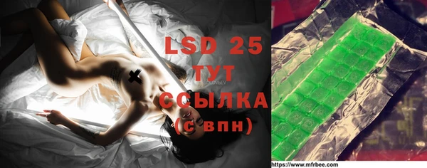 PSILOCYBIN Алзамай