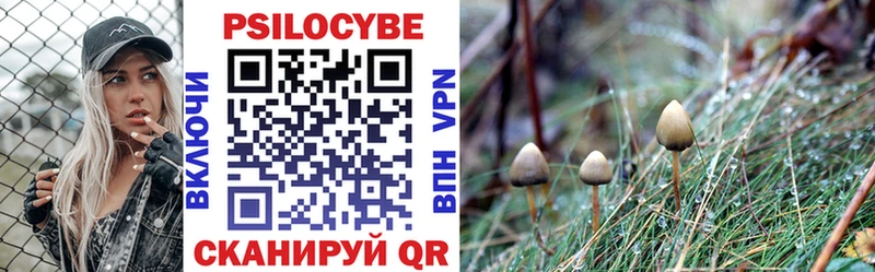 купить  сайты  Льгов  Галлюциногенные грибы мицелий 