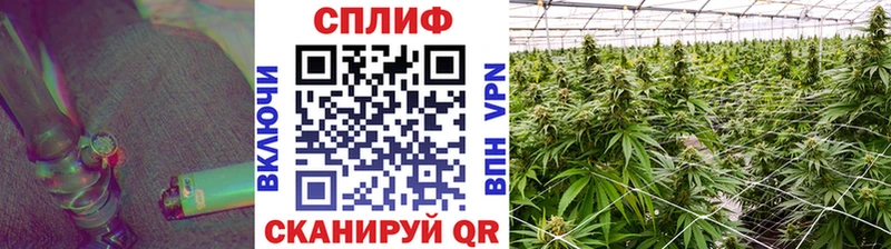 hydra tor Льгов Бошки марихуана LSD WEED
